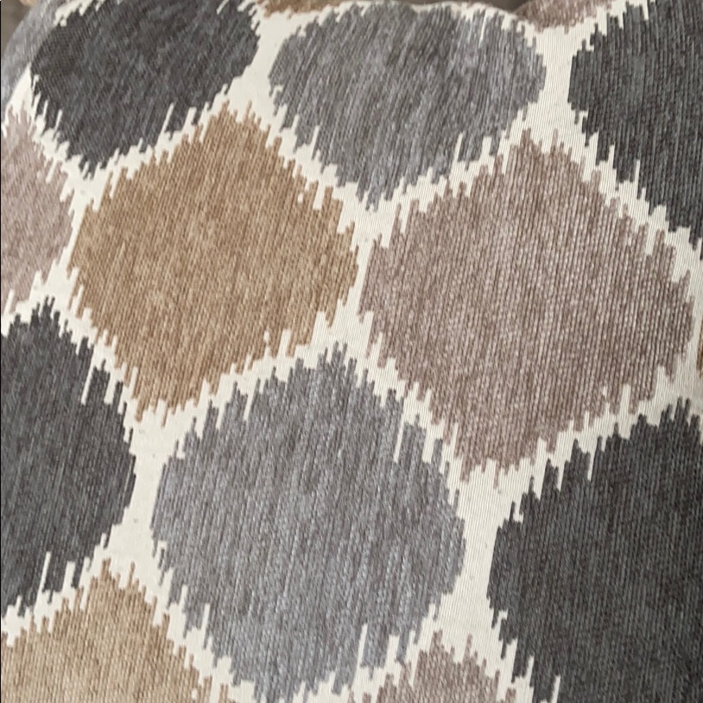 Meet your Posher, Sammy